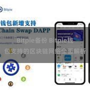 Bitpie备份 Bitpie钱包支持的区块链网络全面解析