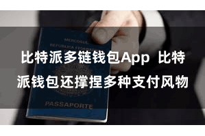 比特派多链钱包App  比特派钱包还撑捏多种支付风物