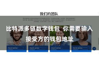 比特派多链数字钱包  你需要输入接受方的钱包地址