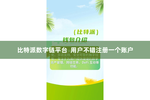 比特派数字链平台  用户不错注册一个账户