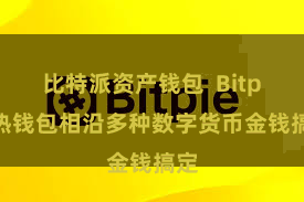 比特派资产钱包  Bitpie热钱包相沿多种数字货币金钱搞定