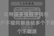 比特派多链数字钱包  用户不错同期连结多个下载源