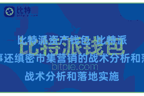 比特派资产钱包  比特派数字处事还缜密市集营销的战术分析和落地实施